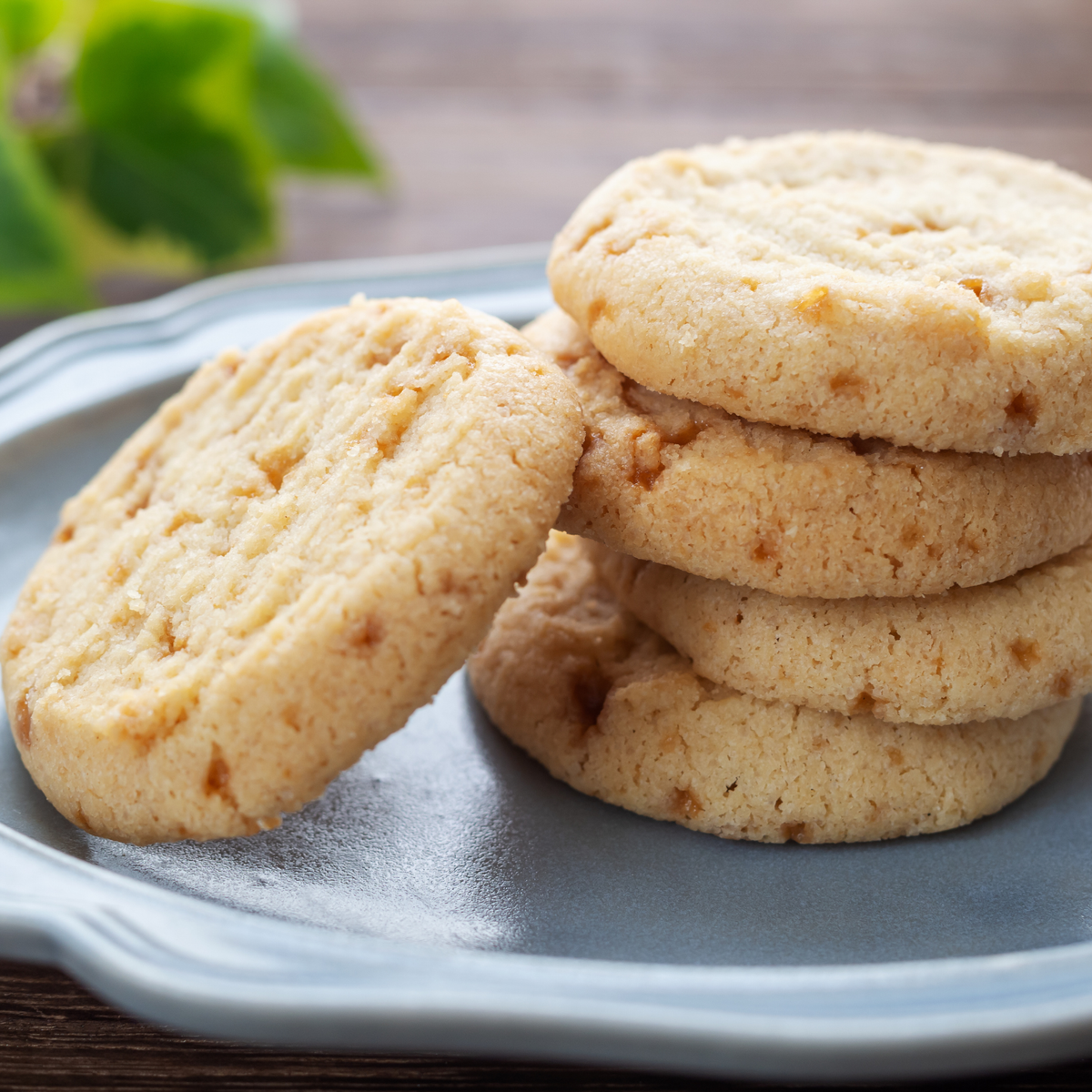 Butterscotch Cookie Body Butter