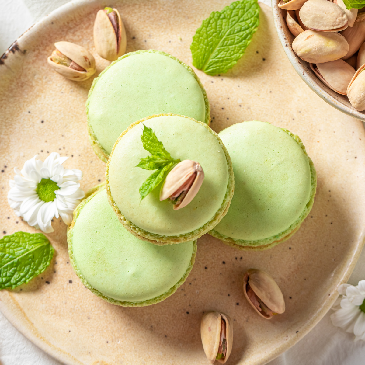 Pistachio Macaroon Body Butter